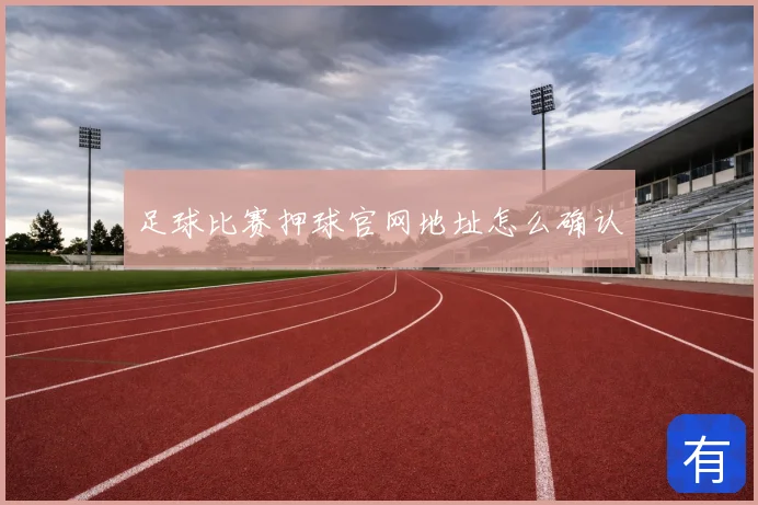 足球比赛押球官网地址怎么确认