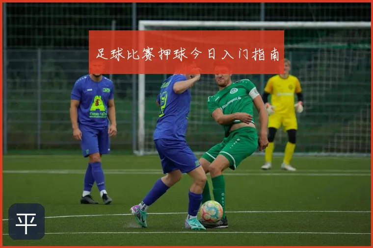 足球比赛押球今日入门指南